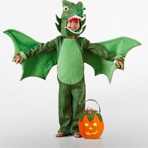 Pottery Barn Kids Halloween Costume Dragon Dress Up
